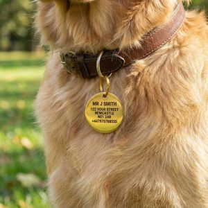 Custom Engraved Solid Brass Dog Tag