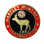 Custom Hard Enamel Lapel Pins - Image 4