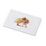 MEMORAMA - Creditcard. USB flash 4GB - Image 2