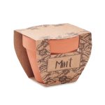 MINT POT - Terracotta pot mint seeds - Image 3