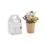 FULLHOUSE - House shaped seeds grow set - Image 2