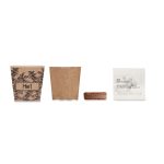 MINT KIT - Mint seeds growing kit - Image 2