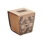 MINT KIT - Mint seeds growing kit - Image 5