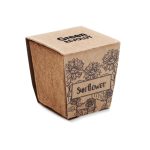 SUNFLOWER KIT - Sunflower growing kit - Image 5