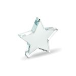 STARWARD - Glass star award - Image 2