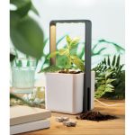 LUSHLET - Indoor garden with LED light - Image 3