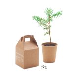 GROWTREE™ - Pine tree set - Image 3