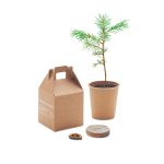 GROWTREE™ - Pine tree set - Image 4