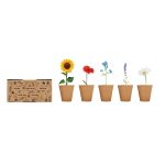 FLOWERS - Flowers growing kit - Image 4