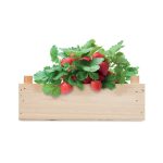 STRAWBERRY - Strawberry kit in wooden crate - Image 4