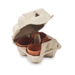 CRESS - Egg carton growing kit - Image 3