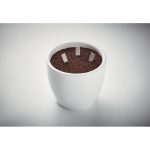 LEYTI - Herb Seedsticks® - Image 4
