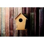 WOOHOUSE - Wooden bird house - Image 5
