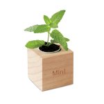 MENTA - Herb pot wood "MINT" - Image 3